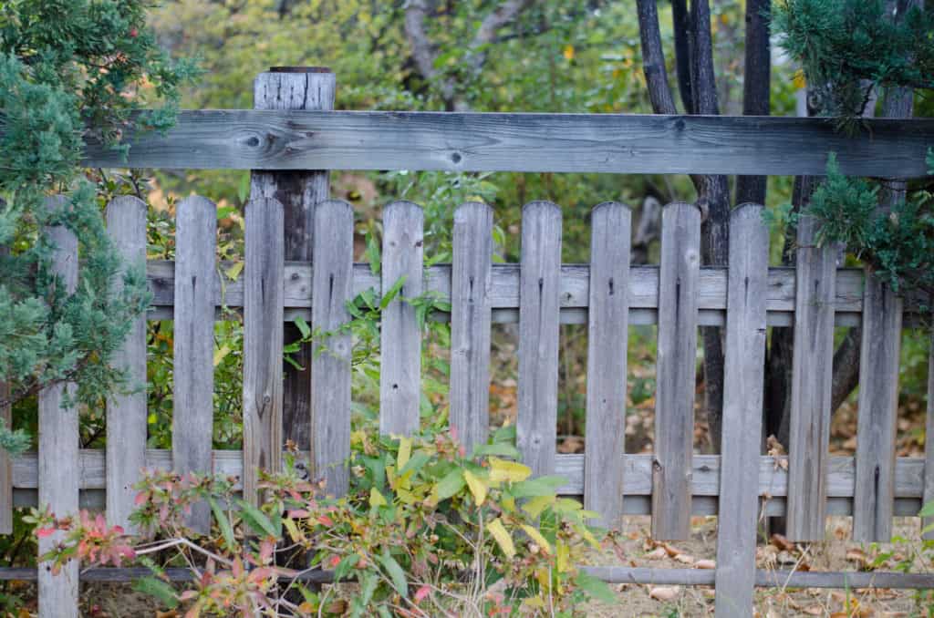 Do Fence Boards Need to Be Pressure Treated? Fence Frenzy