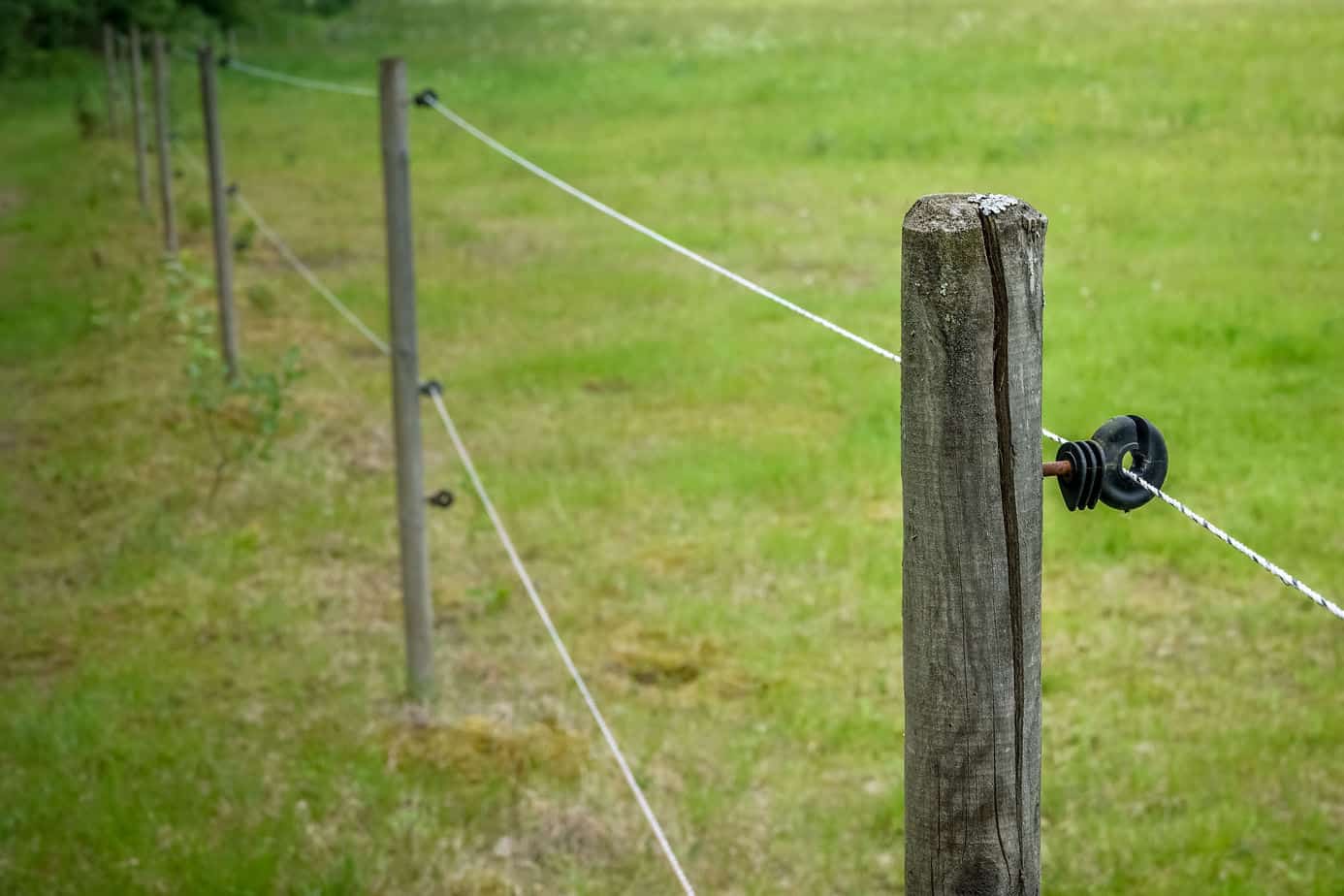 Do Electric Fences Work in the Rain? Fence Frenzy