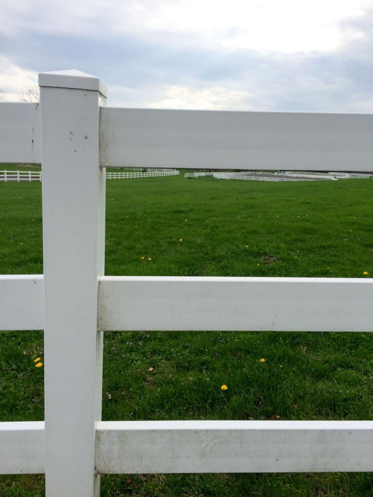 Can You Wax a Vinyl Fence? Fence Frenzy