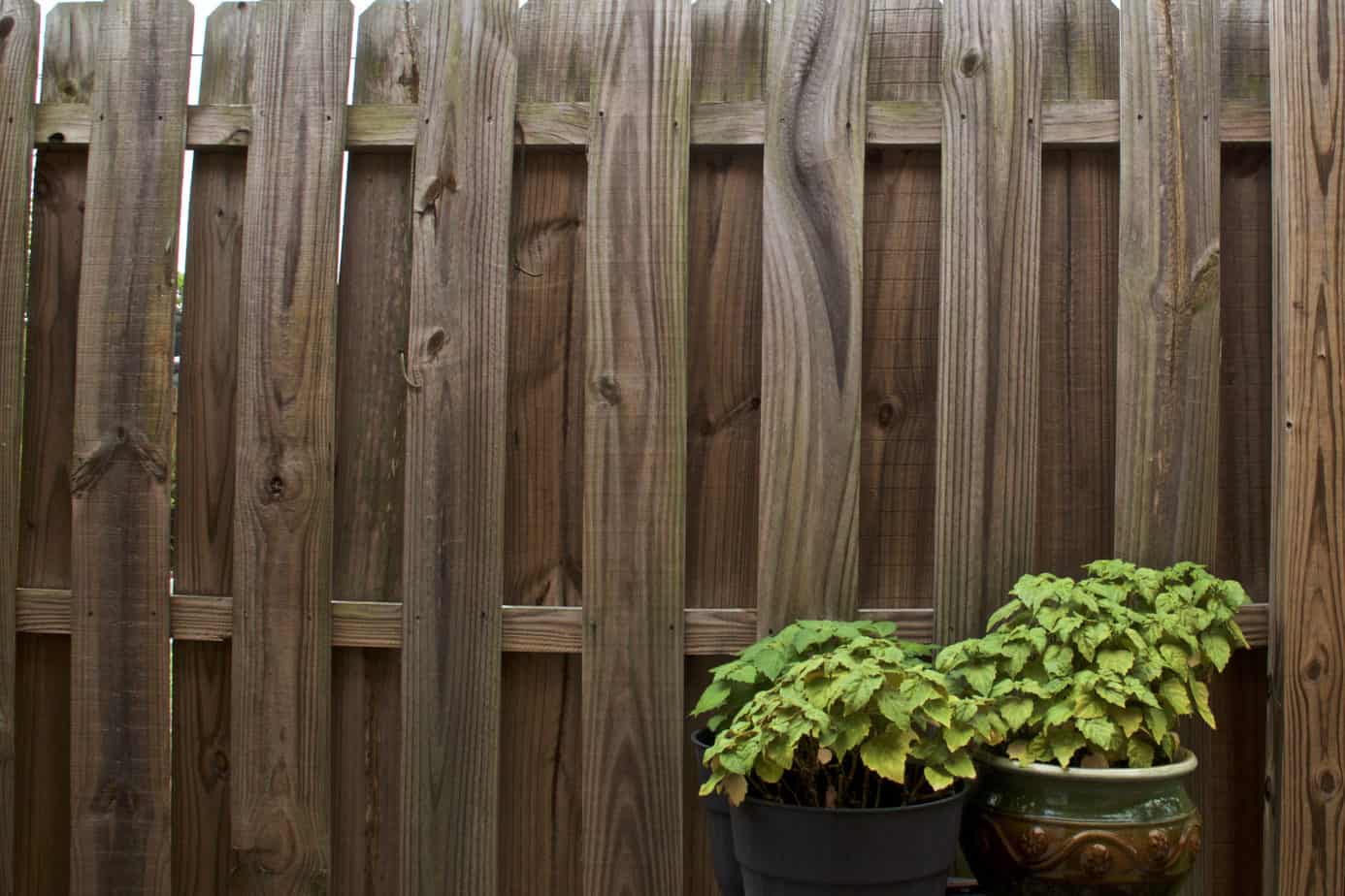 How to Straighten Warped Fence Panels (5 Steps) Fence Frenzy