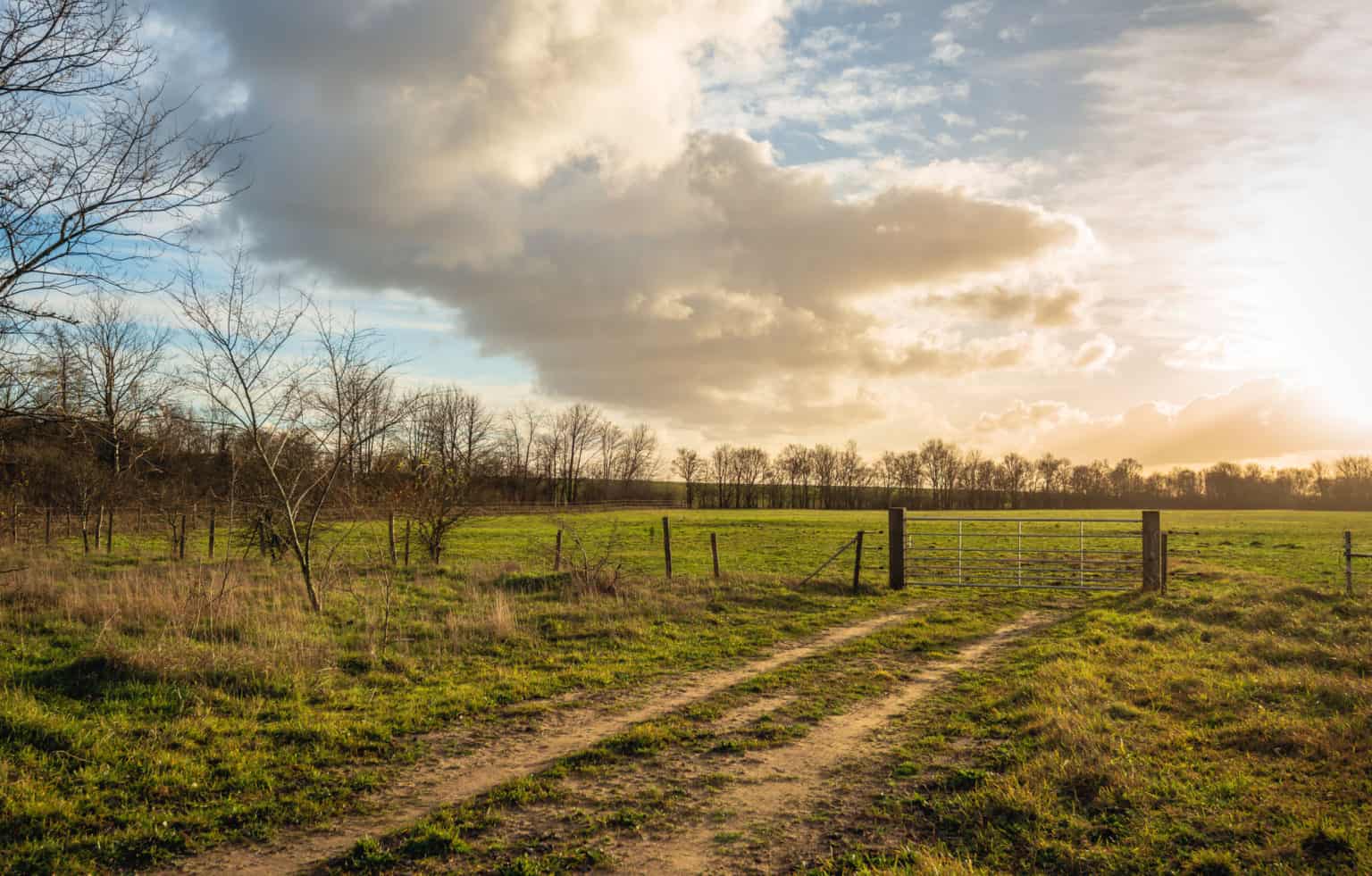 How to Electrify a Wire Fence The Complete Guide Fence Frenzy