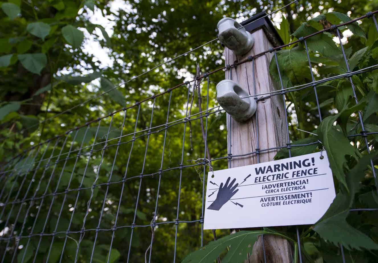 Can Multiple Electric Fence Wires Touch? Fence Frenzy