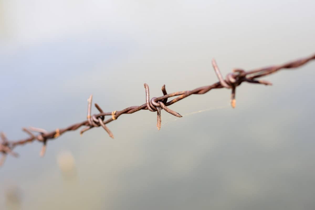 All the Types of Barbed Wire A Quick Reference Fence Frenzy