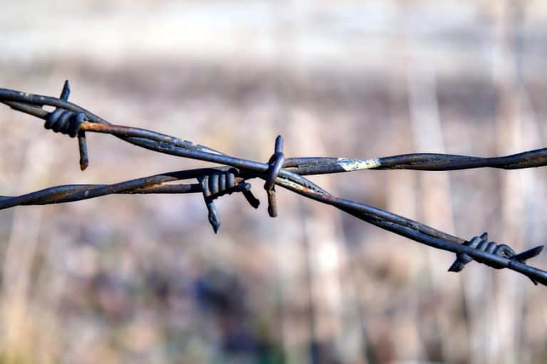 All the Types of Barbed Wire A Quick Reference Fence Frenzy